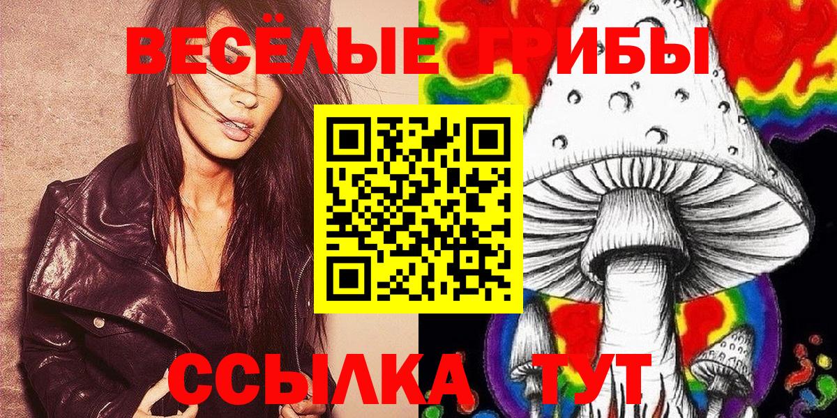 где купить наркоту  Псилоцибиновые грибы мухоморы  Вход с VPN  Камень-на-Оби 