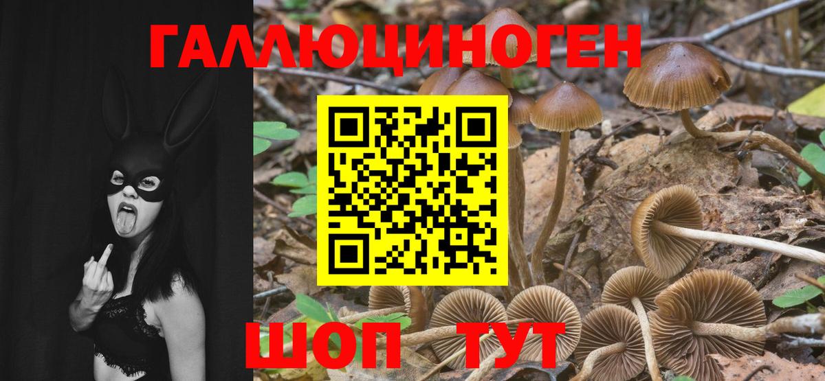 Галлюциногенные грибы ЛСД Камень-на-Оби